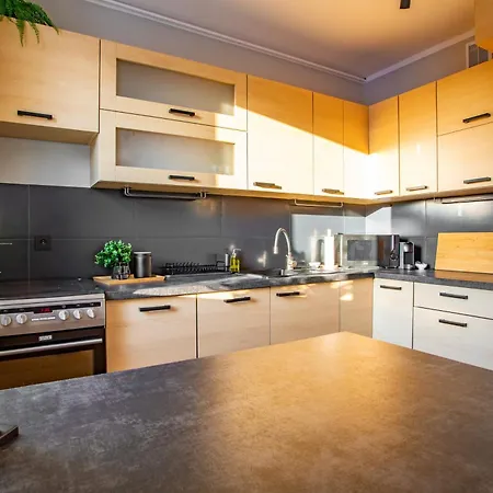 Polan 50 - Rataje Apartment *